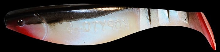 BLS6-S020.jpg