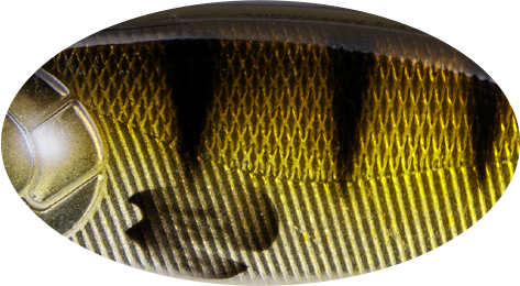 /environment/cache/images/productGfx_67061_700_700/C606E-kolor-woblera-Strike-Pro.jpg