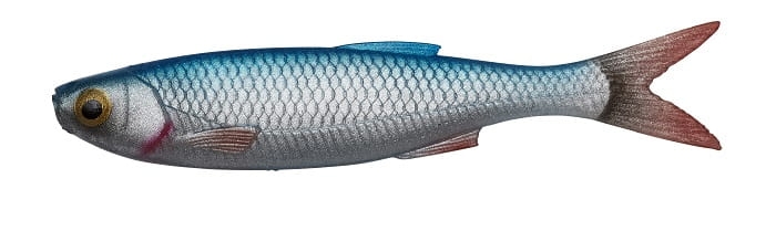 71935_.jpg