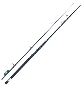 BLACK SPIN 270 9'/2.70M 40-150G 2SEC