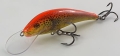 20220120_173519.jpg