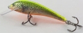 20220120_155112.jpg
