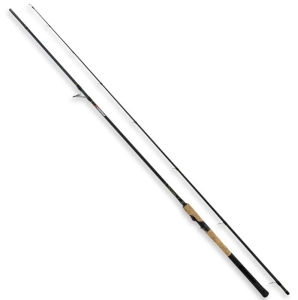 Angelrute Robinson Big Mama 2,40m 14-56g
