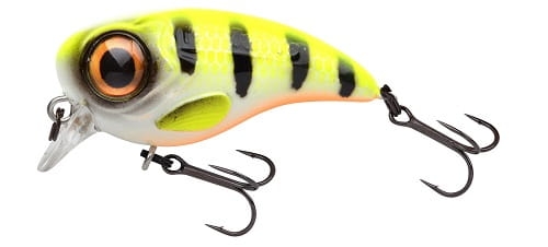 SPRO FAT IRIS HARDLURE Hot Perch.jpg