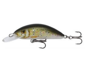 Wobbler Kenart Fox 4 TR