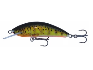 Wobbler Kenart Winner 4 T