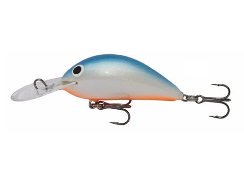 Wobler Kenart Shark BP.jpg