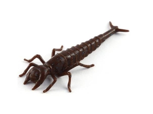 FishUP Diving Bug 5cm #012 Chaos 8pcs