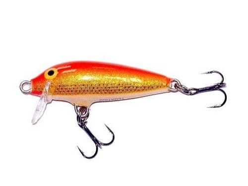 APALA Original Floater GFR.jpg