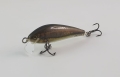 20220308_122337.jpg
