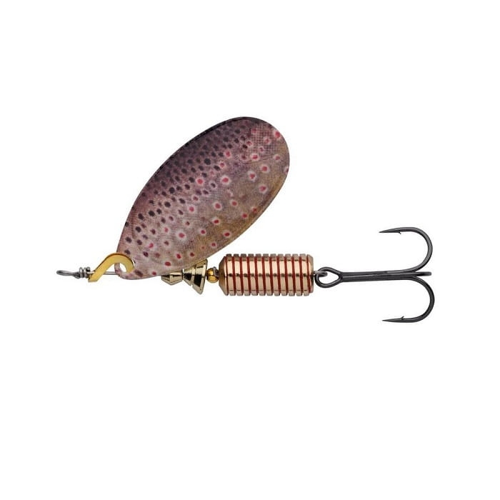 Brown Trout.jpg