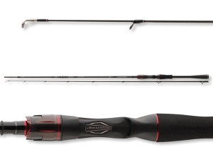 Daiwa Tournament AGS Baitcast 2.10m 14-42g 2 Teile