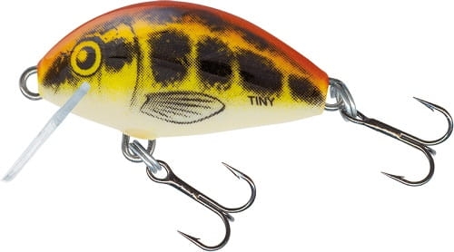 SALMO TINY  Diving Beetle SINK.jpg