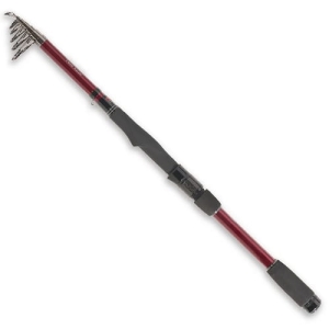 Robinson Firebird Tele Spin 3,00 m 20-50 g