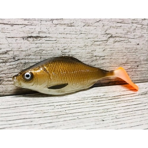 karaś-10-cm-japoniec.jpg