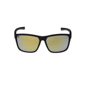 Abu Garcia Eyewear Beast Gold Grün