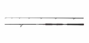 Abu Garcia BEAST Pike 802H 2,44m 40-90g Spin 2cz