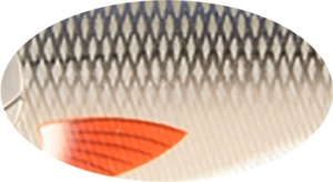 BUSTER V 8,5 cm 17,7 g C384F Senkend