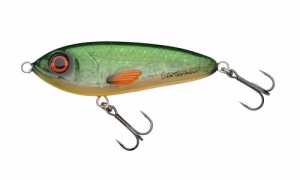 Abu Garcia SVZ McTracer 12,5 cm Feuer Karpfen Flash