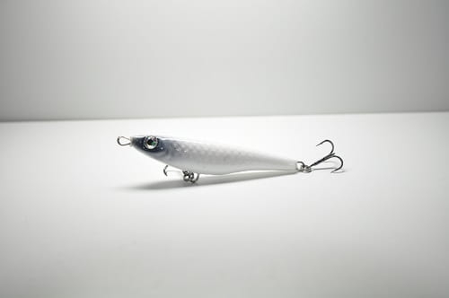 Tasty fish 6,5 TPW #Z009.JPG