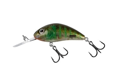 SALMO RATTLIN HORNET 6,5cm 20g Clear Green Gill FL.jpg