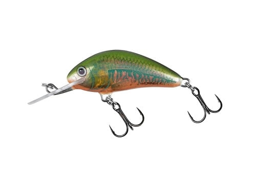 SALMO HORNET 4cm 4g Holo Oikawa S.jpg