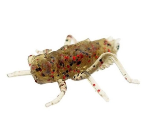 FishUP Libelle 2cm #045 Gr Kürbis Rot Schwarz 12St