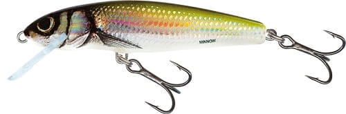 Salmo Minnow 6cm 4g Holo Bleak FL.jpg