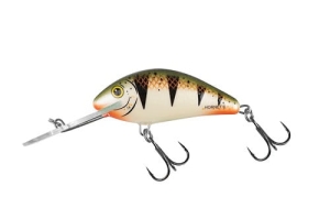 SALMO HORNET 6cm 10g Nordischer Barsch FL