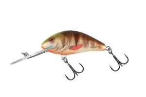 SALMO HORNET 6cm 10g Gefleckter Braunbarsch FL