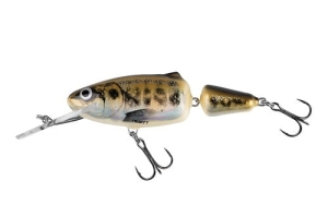 Salmo Frisky DR 7cm 9g Gedämpfte Elritze
