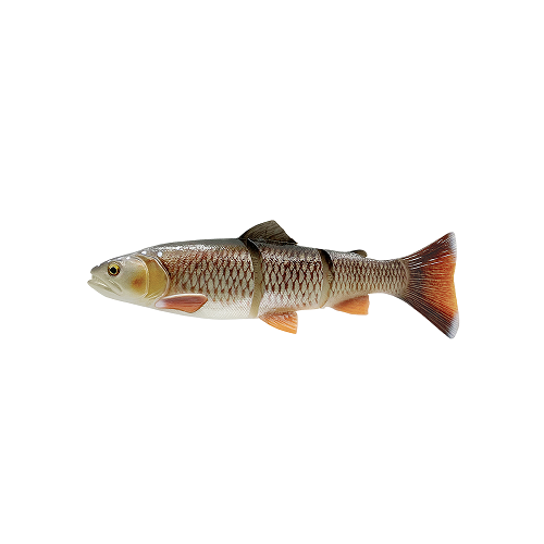 SG 4D Linethru Trout 40cm 712g S Bream.Png