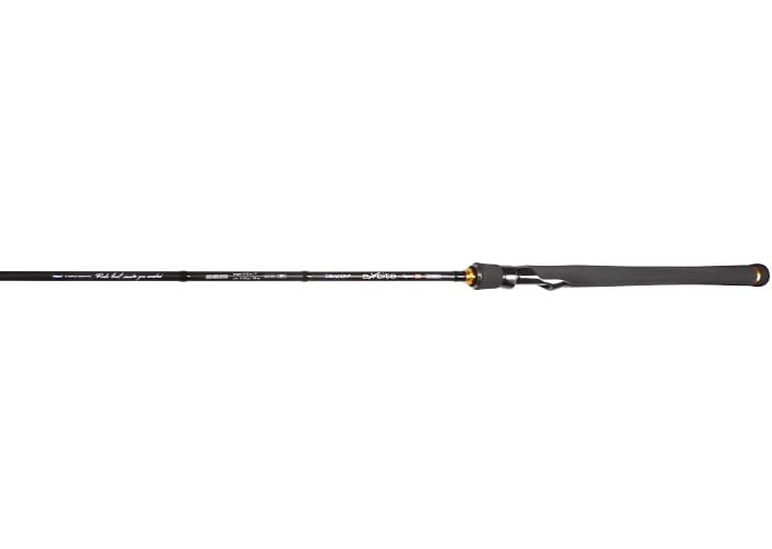 Dragon EXCITE Spinn 35 S962XF 2.90m 10-35g (2).jpg