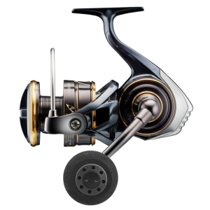 Daiwa Rolle 23 Caldia SW 6000D-H