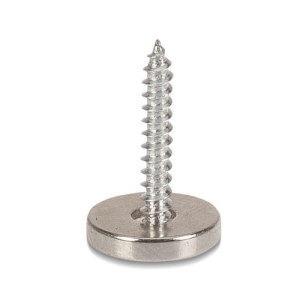 IRON CLAW Schrauben Magnetic Stinger Mount 5pcs